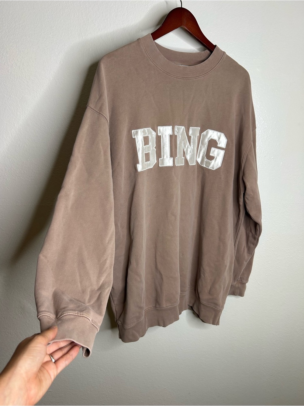 Anine Bing 100% Cotton Oversized Tyler 'BING' Spellout Sweatshirt in Tan - Picture 5 of 16